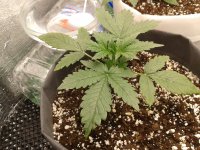 2021-04-02 20.56.50.jpg