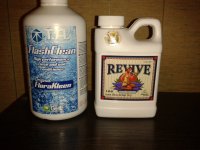 2021-04-02 20.56.00.jpg