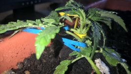 WP_20210403_12_04_23_Pro.jpg
