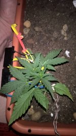 WP_20210403_21_44_39_Pro.jpg