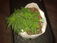 2021-04-04 13.10.35.jpg