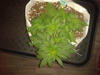 2021-04-04 13.11.01.jpg