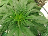 2021-04-03 13.33.51.jpg