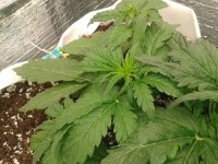 2021-04-03 13.34.22.jpg