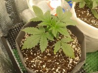 2021-04-03 13.34.52.jpg