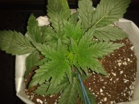 2021-04-04 13.47.21.jpg