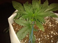 2021-04-04 13.47.33.jpg