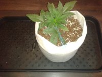 2021-04-04 13.47.44.jpg