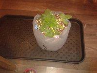 2021-04-04 14.08.49.jpg