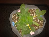 2021-04-04 14.09.09.jpg