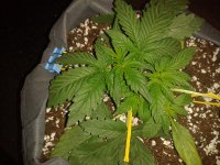 2021-04-04 14.09.23.jpg