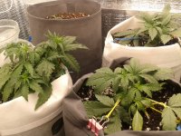 2021-04-04 14.34.58.jpg