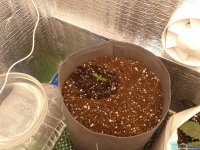 2021-04-04 14.35.16.jpg