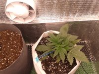 2021-04-04 14.35.27.jpg