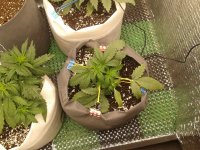 2021-04-04 14.35.35.jpg