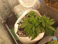 2021-04-04 14.35.52.jpg