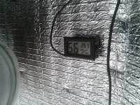 2021-04-04 14.36.11.jpg