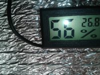 2021-04-04 14.36.24.jpg