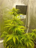 image-2021-04-04 19_07_31.jpg