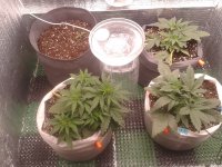 2021-04-05 21.47.40.jpg