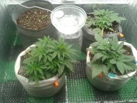 2021-04-05 21.48.02.jpg