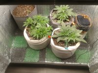 2021-04-06 15.48.39.jpg