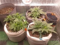 2021-04-06 15.48.56.jpg