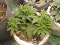 2021-04-06 15.49.09.jpg