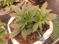 2021-04-06 15.49.40.jpg