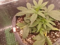 2021-04-06 15.49.54.jpg