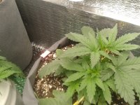 2021-04-06 15.50.10.jpg