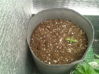 2021-04-06 15.50.26.jpg