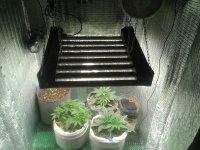 2021-04-06 15.51.48.jpg