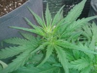 2021-04-06 17.28.20.jpg