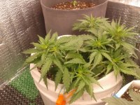 2021-04-06 19.51.18.jpg