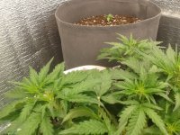 2021-04-06 19.51.58.jpg