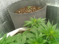 2021-04-06 19.52.32.jpg