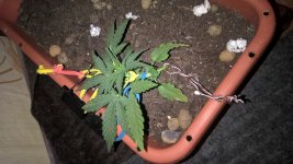 WP_20210403_21_46_08_Pro.jpg
