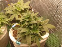 2021-04-08 00.35.43.jpg