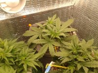 2021-04-08 00.35.53.jpg