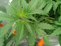 2021-04-08 16.11.37.jpg