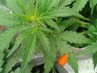 2021-04-08 16.12.14.jpg