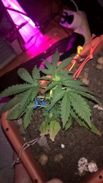 WP_20210408_12_25_25_Pro.jpg