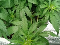 2021-04-09 13.13.06.jpg