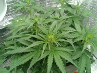 2021-04-09 20.45.29.jpg