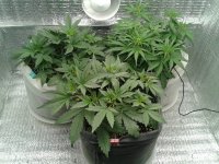 2021-04-09 20.45.18.jpg