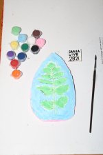 IMG_1978.JPG