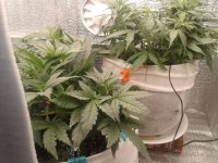 2021-04-10 18.46.27.jpg