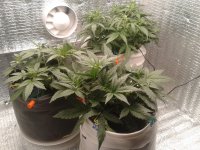 2021-04-10 18.47.00.jpg