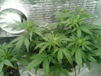 2021-04-10 18.47.09.jpg